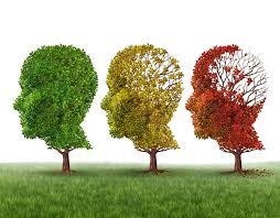 Dementia: can it be fatal?